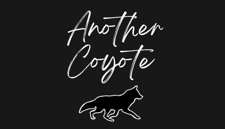 Black White Simple Elegant Calligraphy Business Card 4 768x439