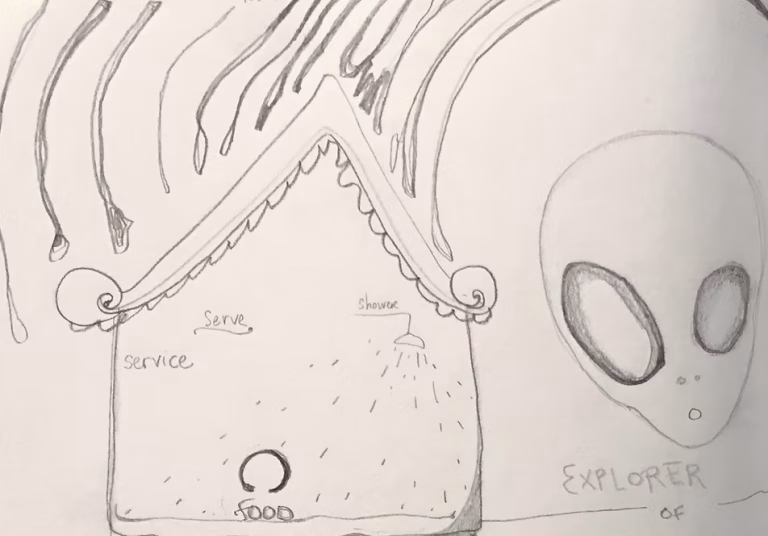 joanne bear art2 768x536